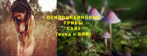 PSILOCYBIN Балабаново